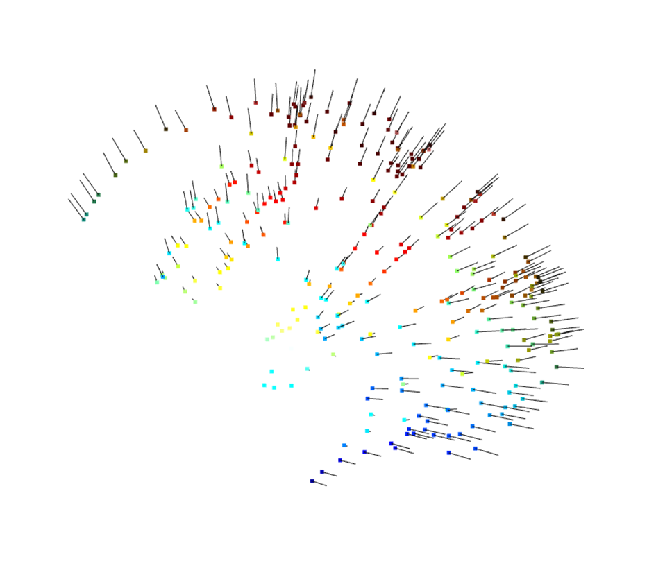 Estimated normal vectors on scalp point cloud